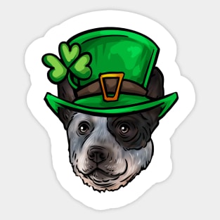 St Patricks Day Australian Cattle Dog Sticker